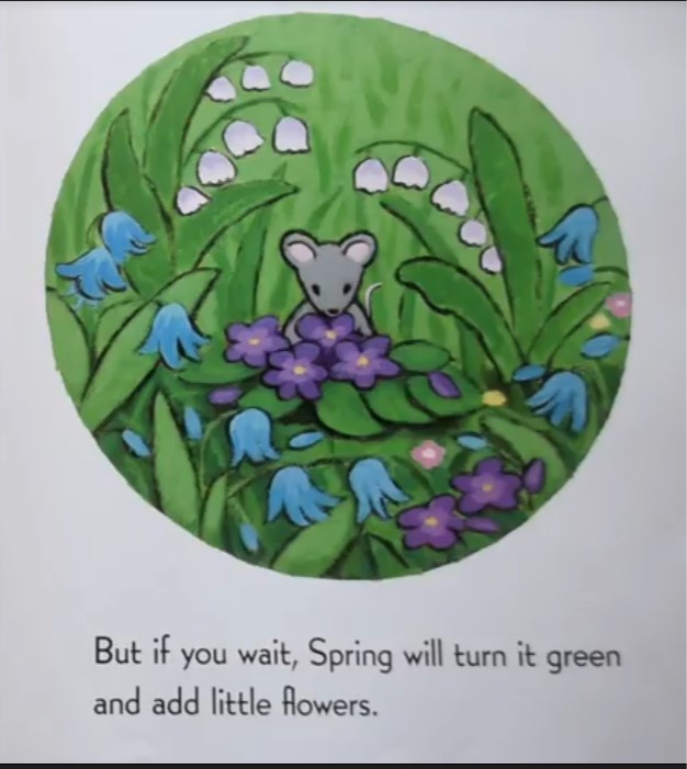 Picture book - Spring Comes
