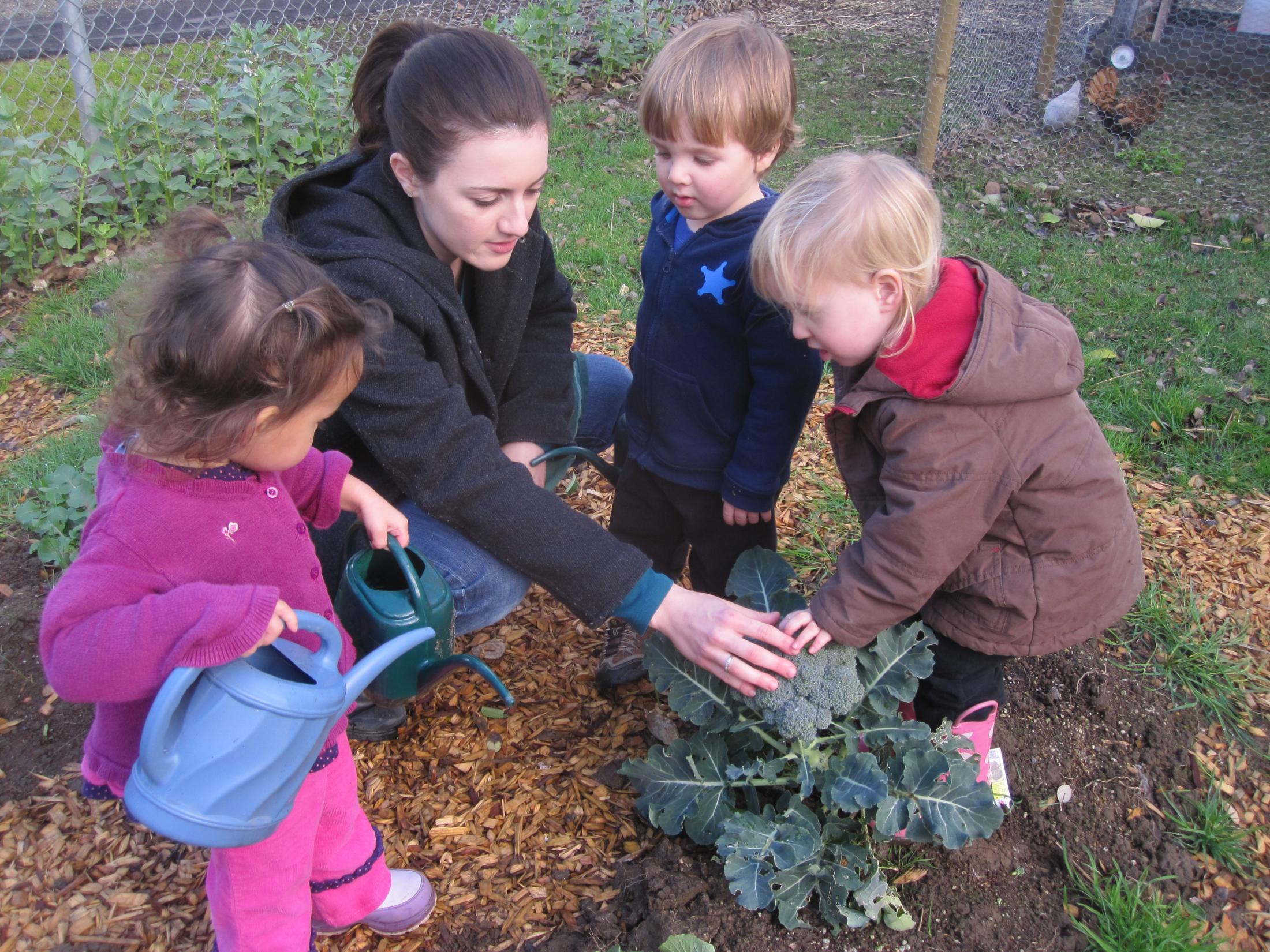 Gardening - toddlers
