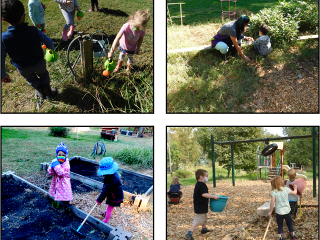 snapshots of learning 3